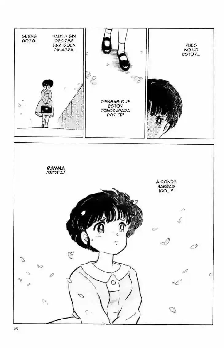 Ranma 1/2 (1987) - Capítulo 127 - Página 17 - LectorTMOo