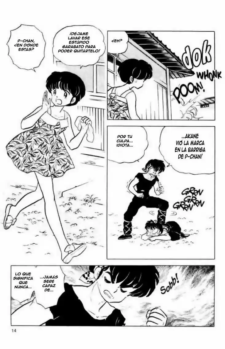 Ranma 1/2 (1987) - Capítulo 143 - Página 14 - LectorTMOo