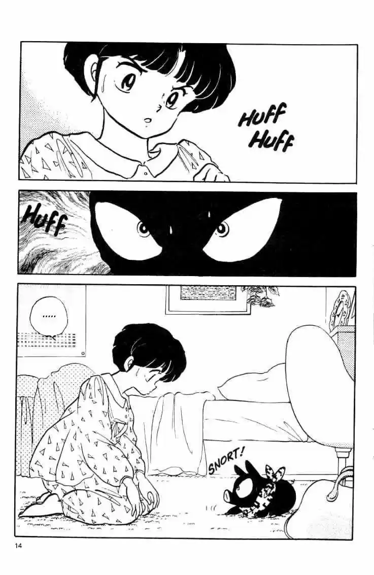 Ranma 1/2 (1987) - Capítulo 15 - Página 15 - LectorTMOo