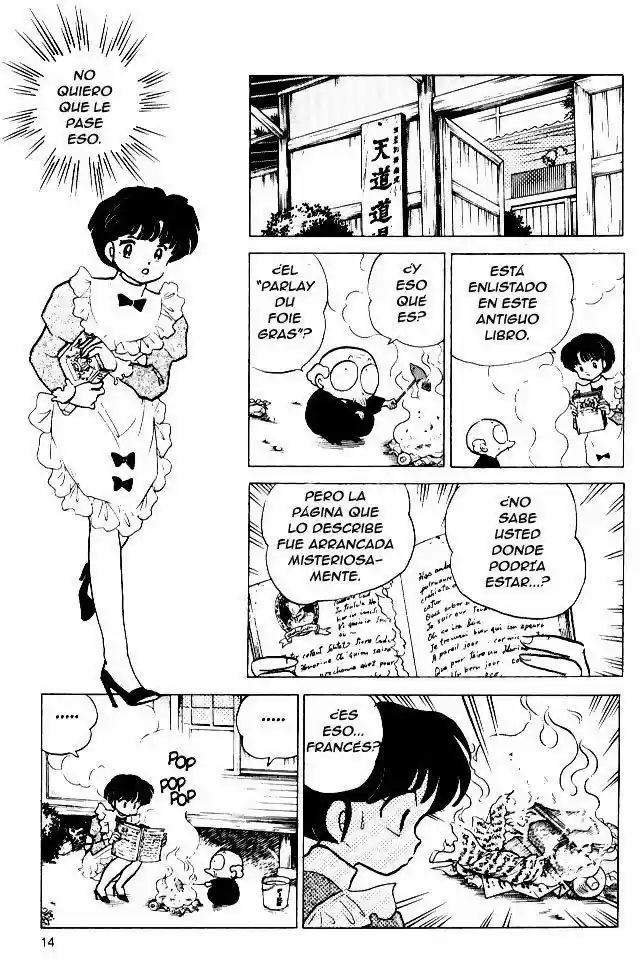 Ranma 1/2 (1987) - Capítulo 169 - Página 17 - LectorTMOo