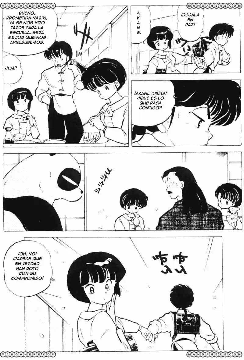 Ranma 1/2 (1987) - Capítulo 176 - Página 16 - LectorTMOo