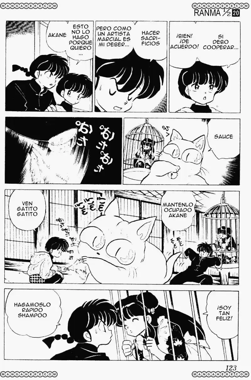 Ranma 1/2 (1987) - Capítulo 209 - Página 7 - LectorTMOo