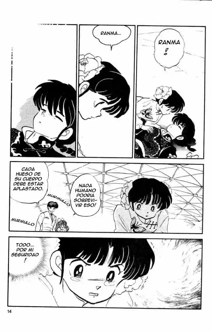 Ranma 1/2 (1987) - Capítulo 27 - Página 14 - LectorTMOo