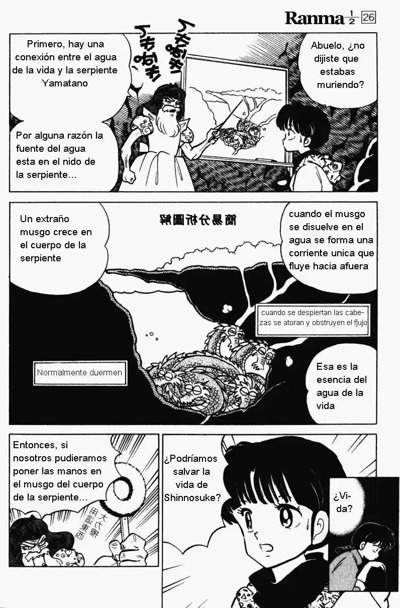 Ranma 1/2 (1987) - Capítulo 272 - Página 14 - LectorTMOo