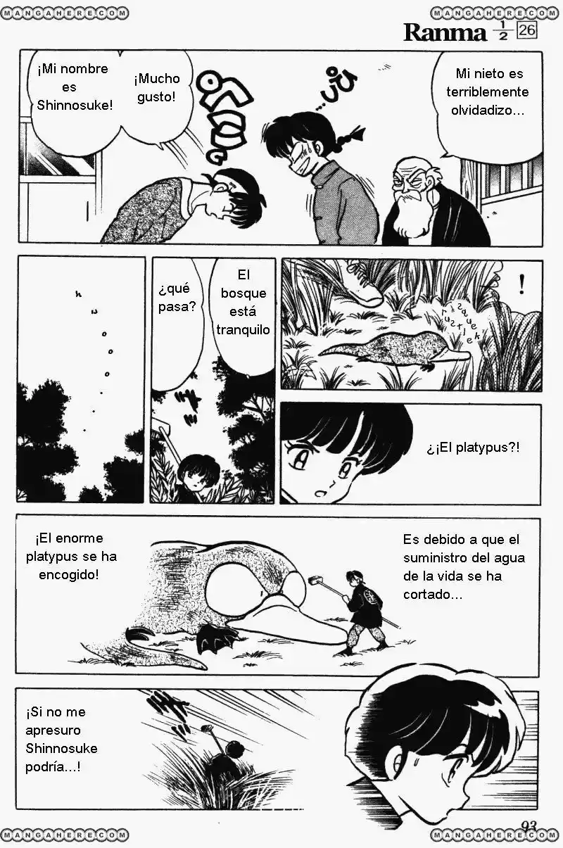 Ranma 1/2 (1987) - Capítulo 273 - Página 9 - LectorTMOo