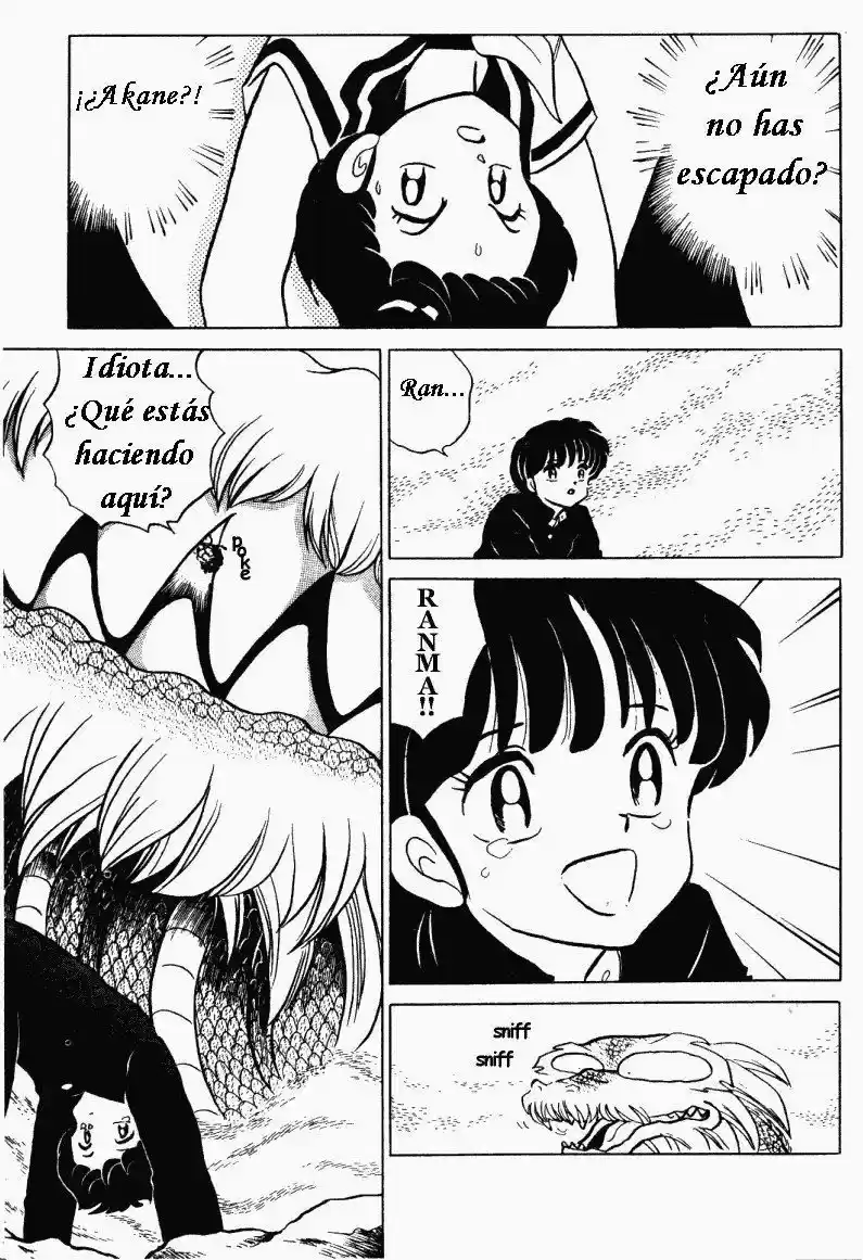 Ranma 1/2 (1987) - Capítulo 277 - Página 4 - LectorTMOo
