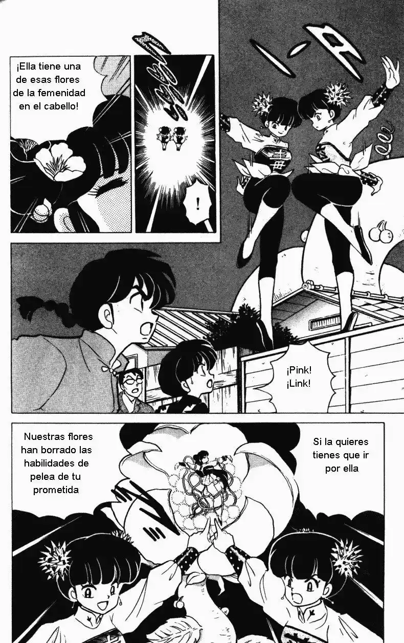Ranma 1/2 (1987) - Capítulo 305 - Página 4 - LectorTMOo