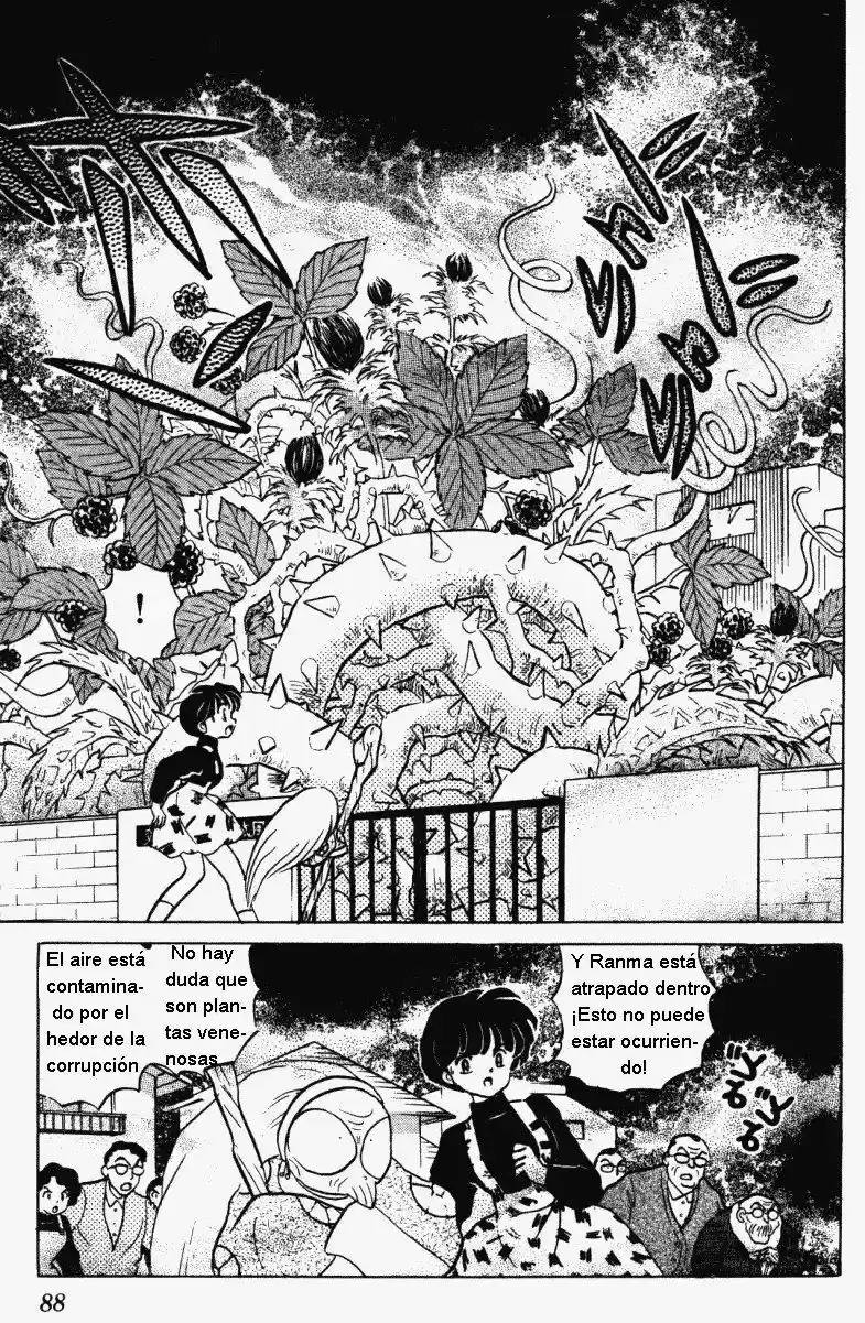 Ranma 1/2 (1987) - Capítulo 306 - Página 4 - LectorTMOo
