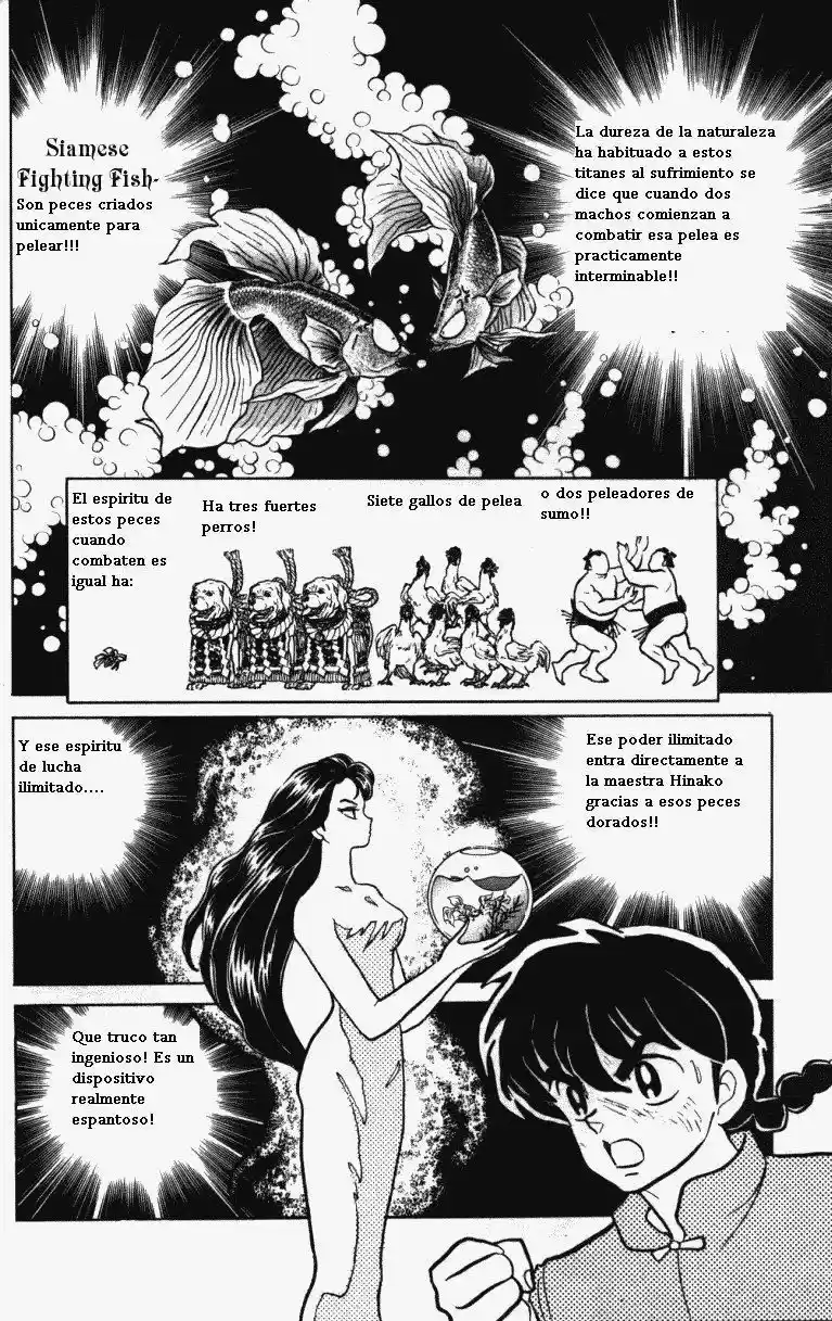 Ranma 1/2 (1987) - Capítulo 317 - Página 7 - LectorTMOo