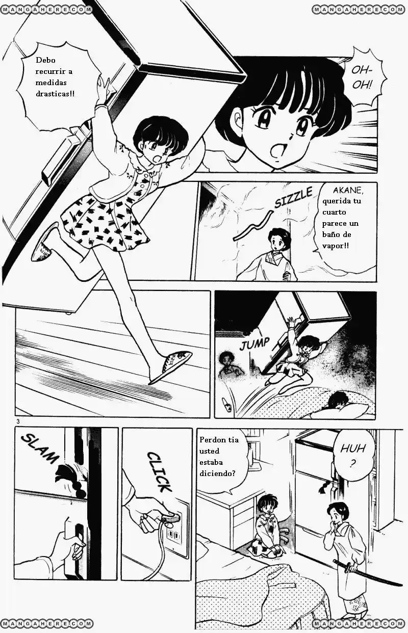 Ranma 1/2 (1987) - Capítulo 321 - Página 3 - LectorTMOo