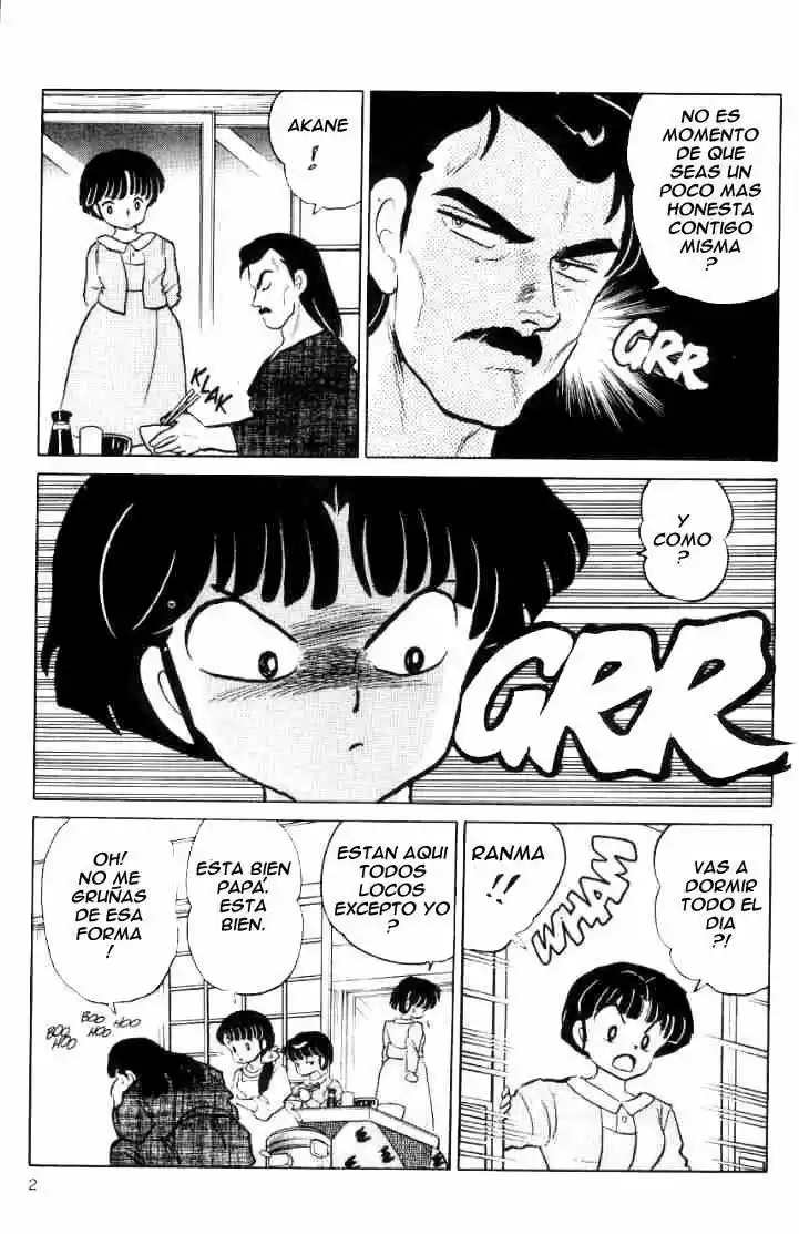 Ranma 1/2 (1987) - Capítulo 33 - Página 3 - LectorTMOo