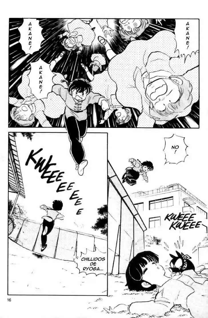Ranma 1/2 (1987) - Capítulo 33 - Página 17 - LectorTMOo
