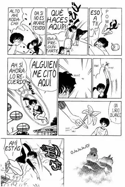 Ranma 1/2 (1987) - Capítulo 339 - Página 4 - LectorTMOo
