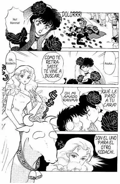 Ranma 1/2 (1987) - Capítulo 340 - Página 8 - LectorTMOo