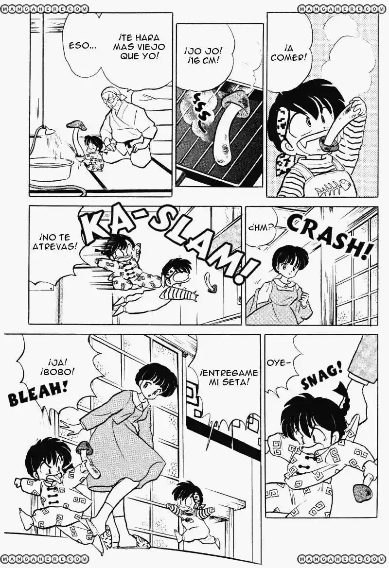 Ranma 1/2 (1987) - Capítulo 348 - Página 14 - LectorTMOo
