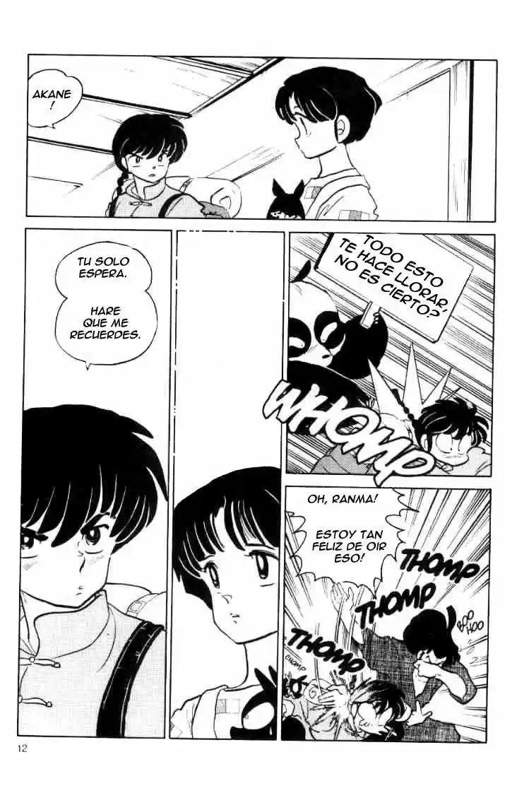 Ranma 1/2 (1987) - Capítulo 35 - Página 13 - LectorTMOo
