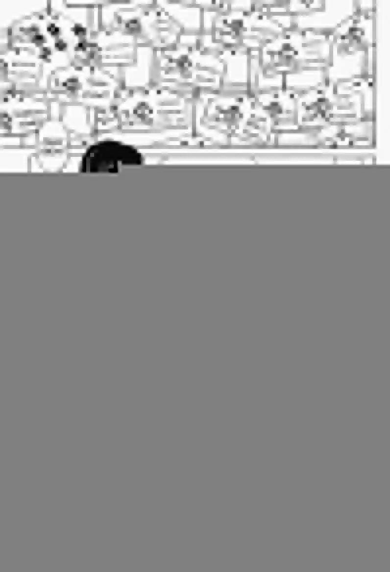 Ranma 1/2 (1987) - Capítulo 352 - Página 4 - LectorTMOo