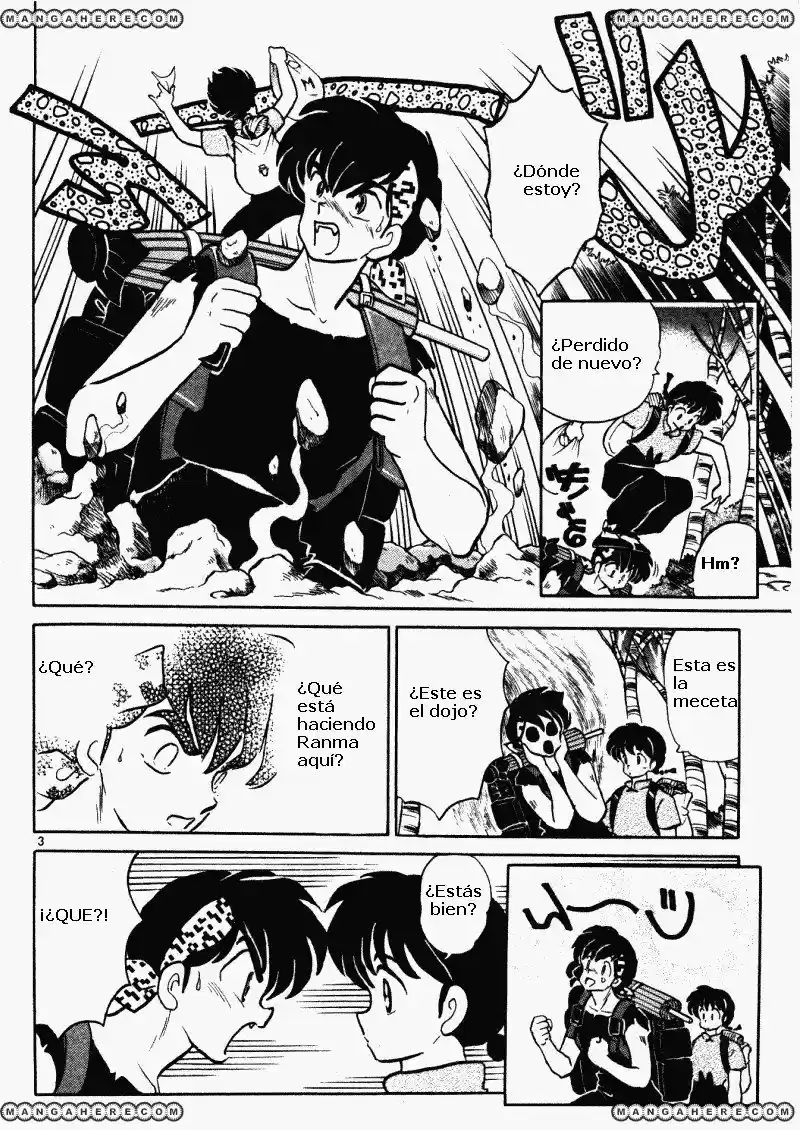 Ranma 1/2 (1987) - Capítulo 379 - Página 3 - LectorTMOo