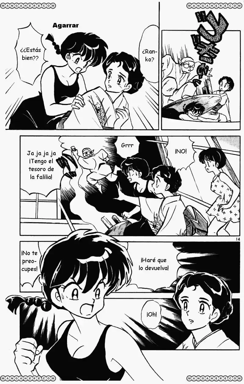 Ranma 1/2 (1987) - Capítulo 381 - Página 14 - LectorTMOo