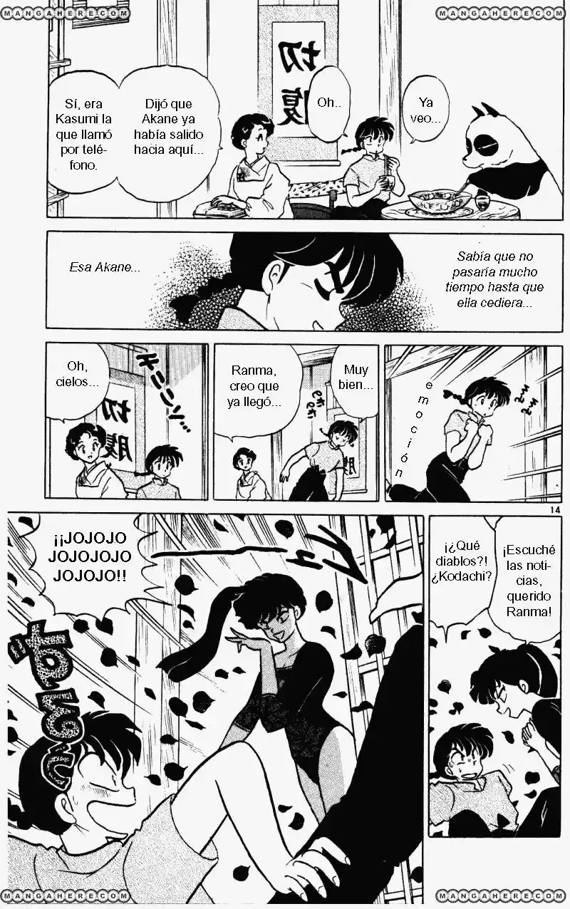Ranma 1/2 (1987) - Capítulo 385 - Página 14 - LectorTMOo