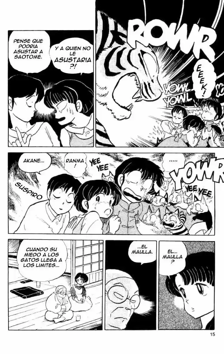 Ranma 1/2 (1987) - Capítulo 39 - Página 15 - LectorTMOo