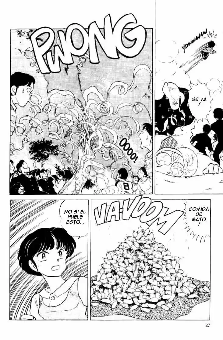 Ranma 1/2 (1987) - Capítulo 40 - Página 11 - LectorTMOo