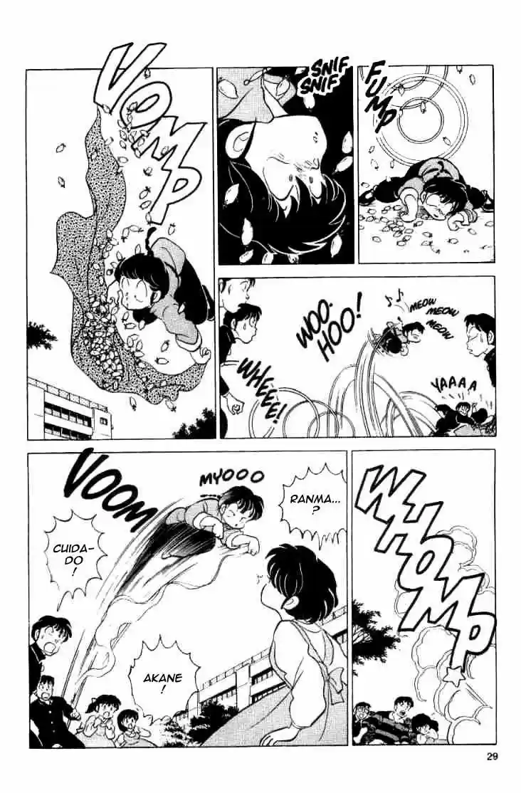 Ranma 1/2 (1987) - Capítulo 40 - Página 13 - LectorTMOo
