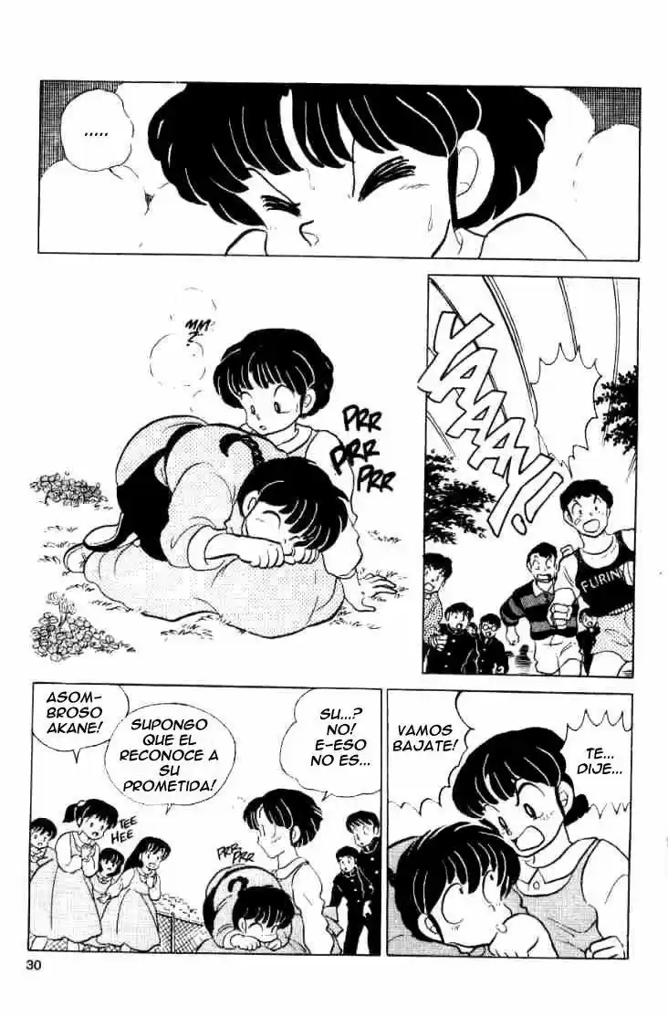 Ranma 1/2 (1987) - Capítulo 40 - Página 14 - LectorTMOo
