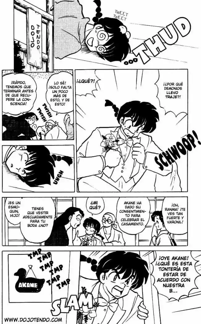 Ranma 1/2 (1987) - Capítulo 407 - Página 17 - LectorTMOo