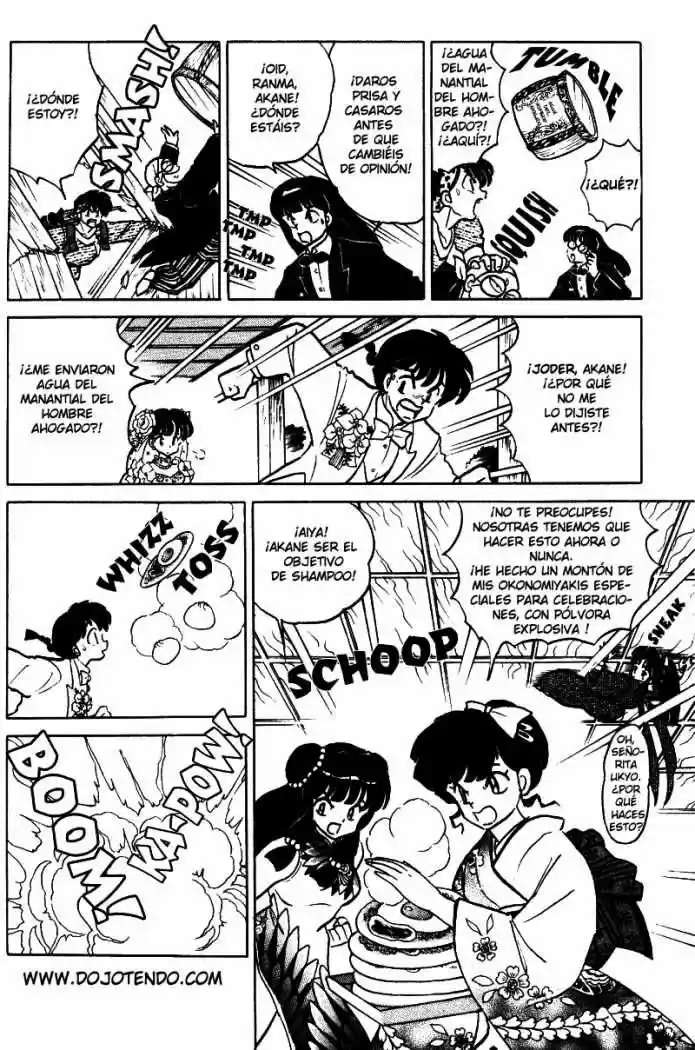 Ranma 1/2 (1987) - Capítulo 407 - Página 25 - LectorTMOo