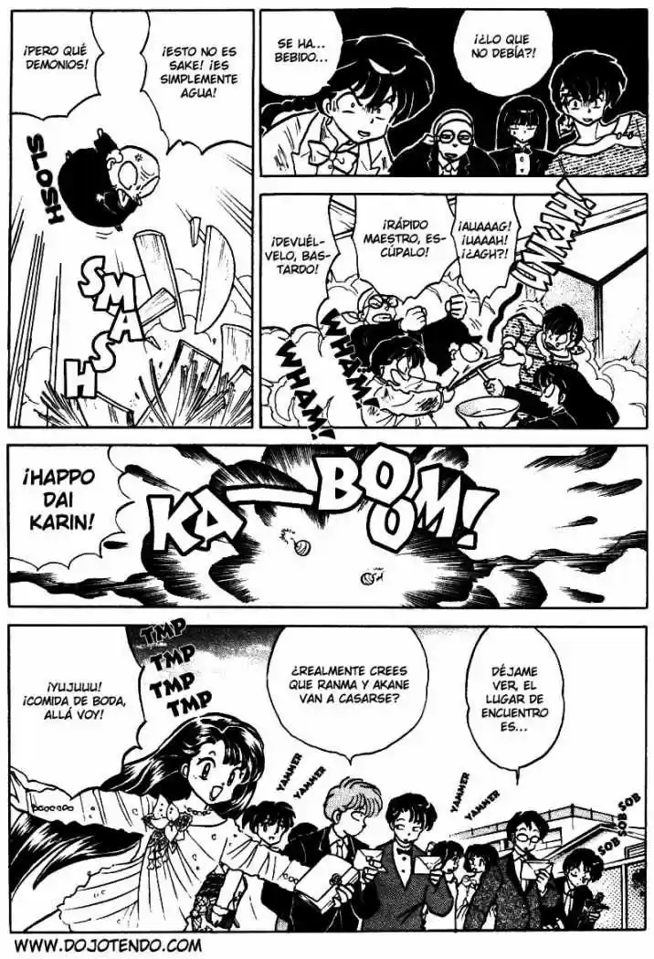 Ranma 1/2 (1987) - Capítulo 407 - Página 28 - LectorTMOo