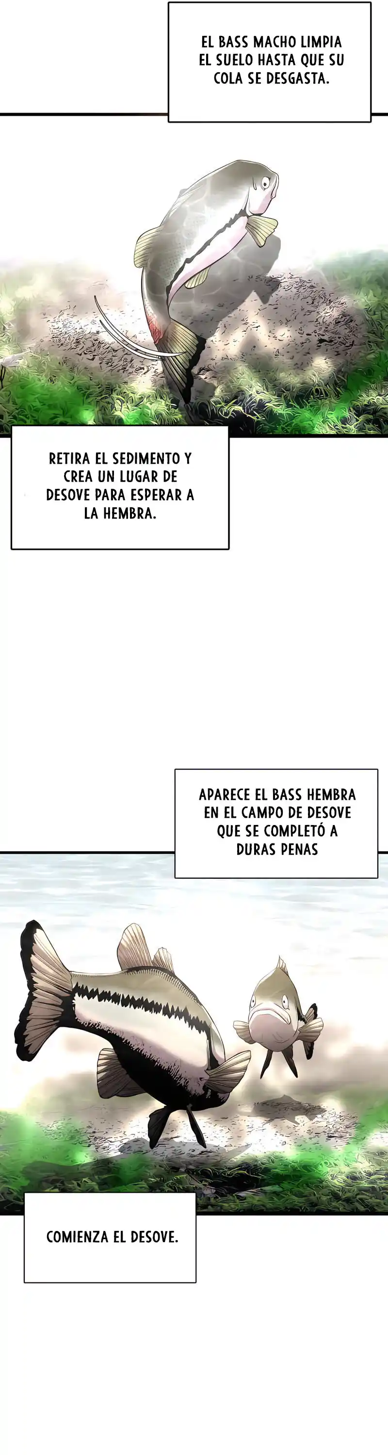 Reencarné como un pez (2022) - Capítulo 3 - Página 14 - LectorTMOo