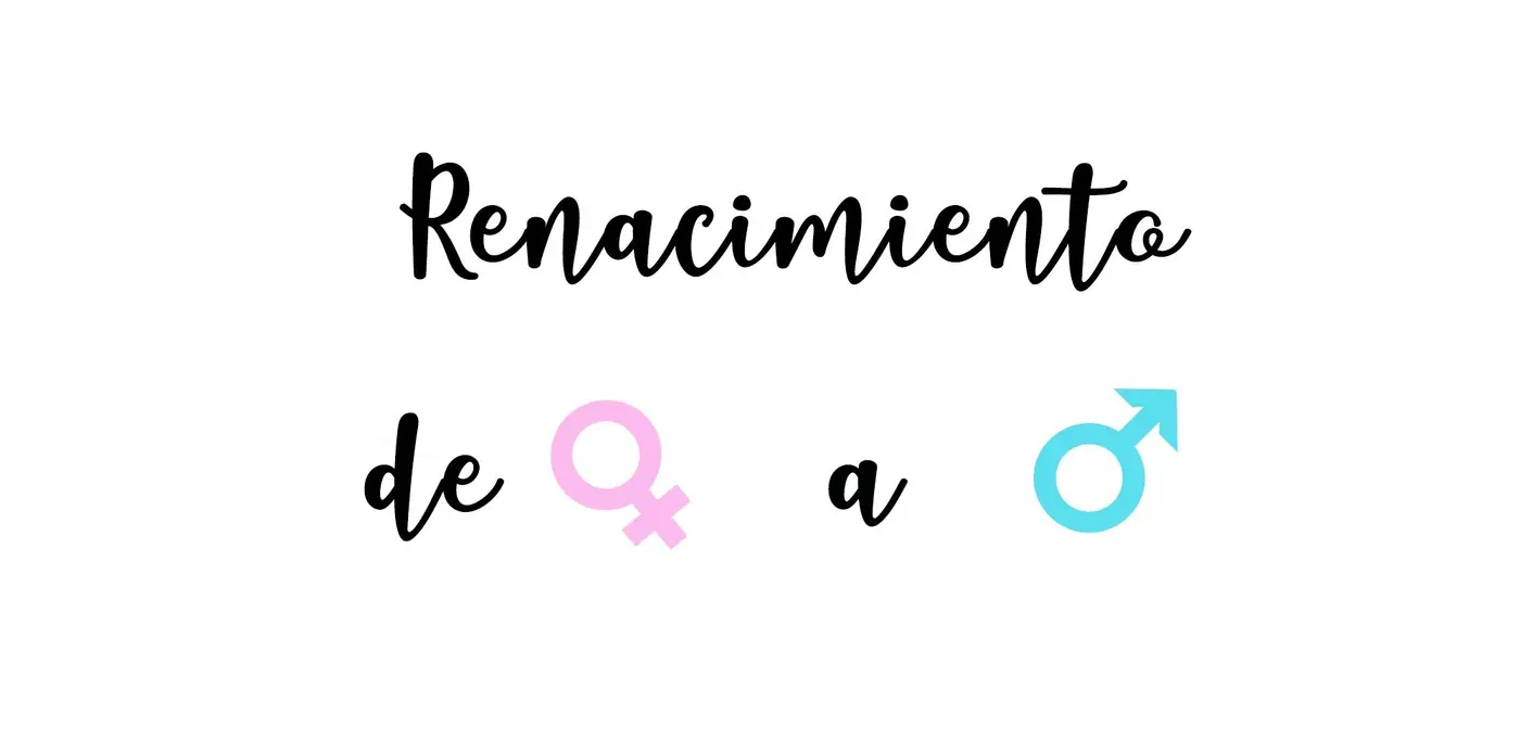 Renacimiento de 0 a 1 - Capítulo 6 - Página 1 - LectorTMOo