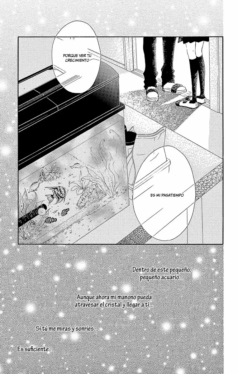 Renjou Aquarium (2014) - Capítulo - Página 33 - LectorTMOo