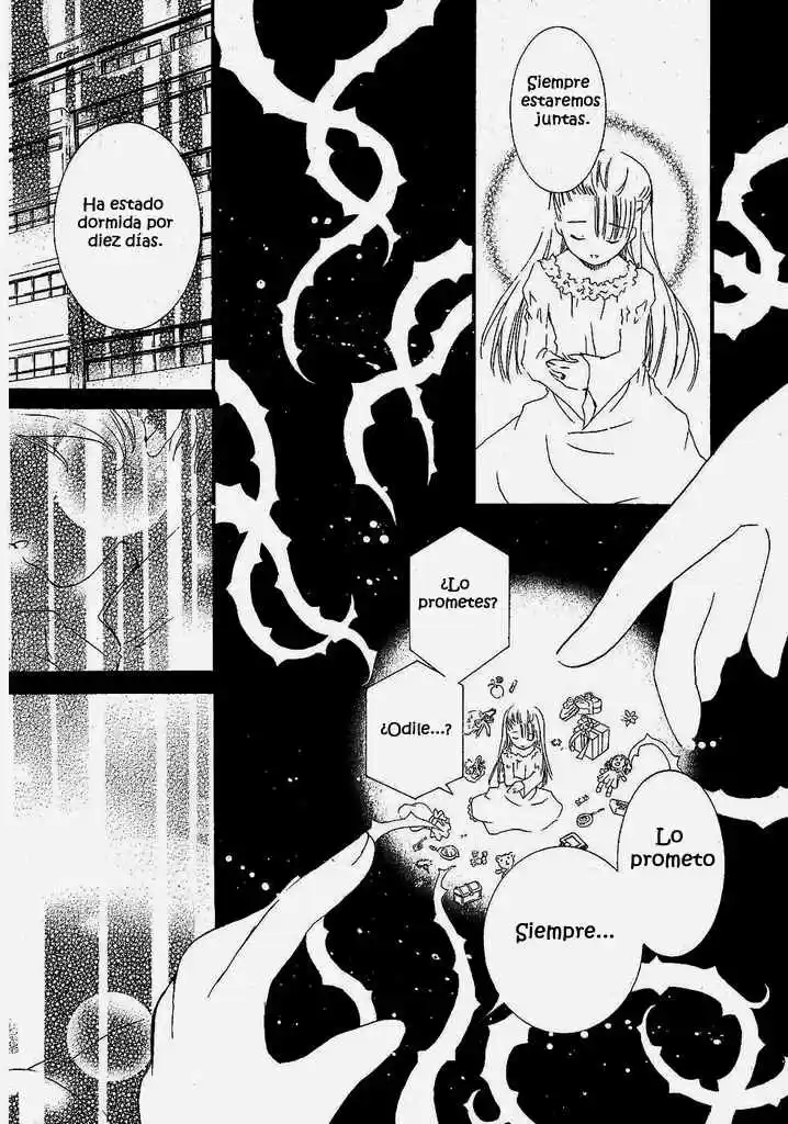 Rozen Maiden Newlyweds Maiden (2006) - Capítulo 37 - Página 5 - LectorTMOo