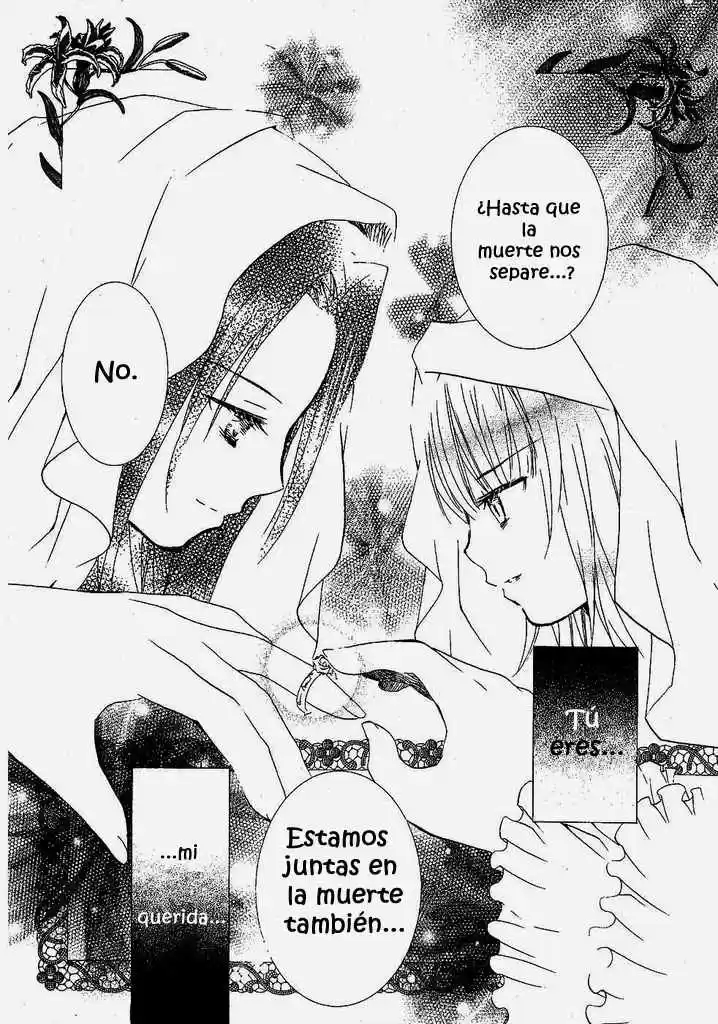 Rozen Maiden Newlyweds Maiden (2006) - Capítulo 37 - Página 11 - LectorTMOo