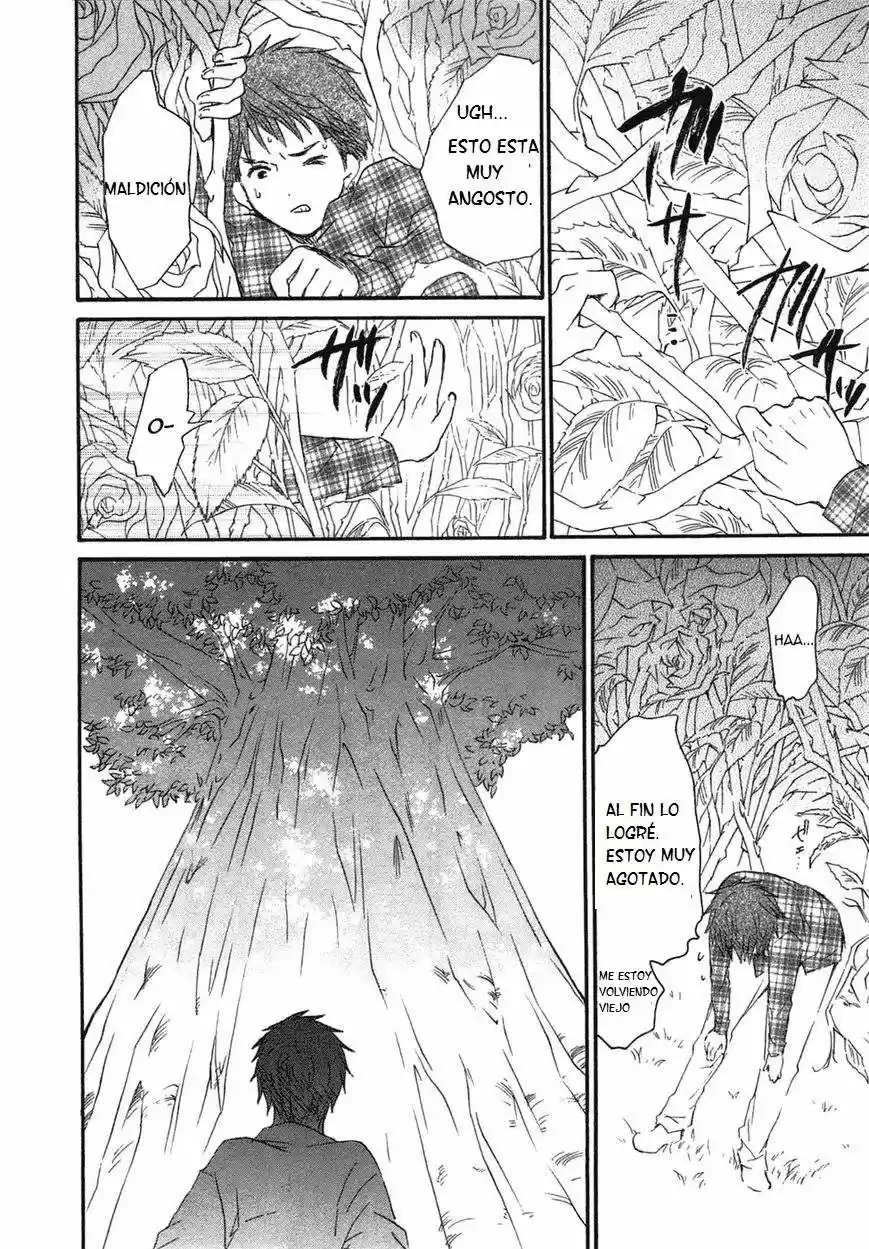 Rozen Maiden Zero (2016) - Capítulo 52 - Página 13 - LectorTMOo