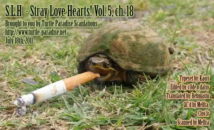 S.L.H. - Stray Love Hearts! (2016) - Capítulo 18 - Página 43 - LectorTMOo