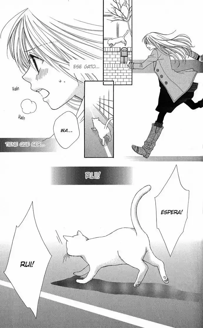 S no Yuiitsu M no Zettai (2012) - Capítulo 3 - Página 34 - LectorTMOo