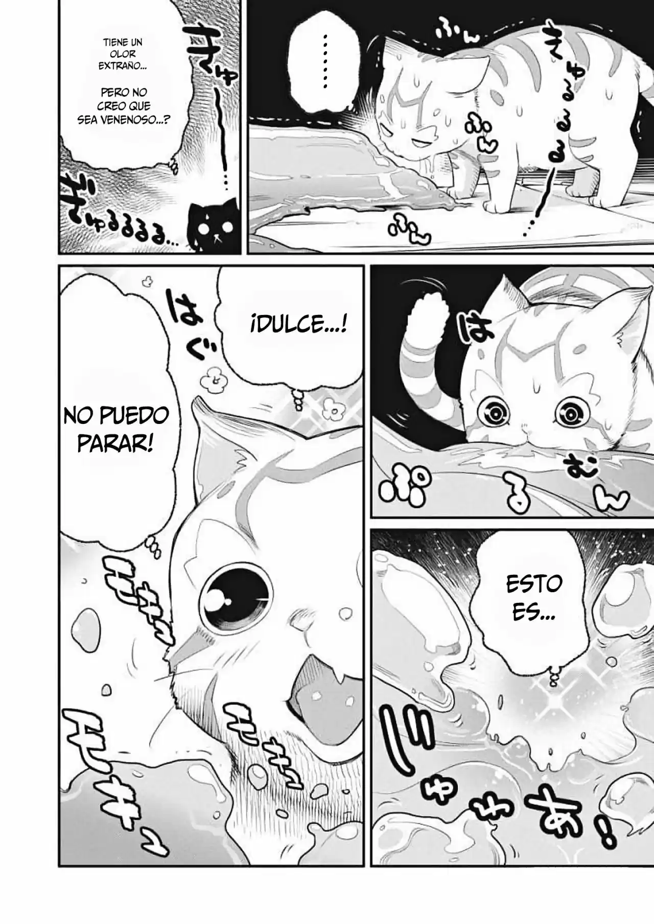 S-Rank Monster no Behemoth Dakedo, Neko to Machigawarete Erufu Musume no Kishi (Pet) Toshite Kurashitemasu (2018) - Capítulo 1 - Página 13 - LectorTMOo