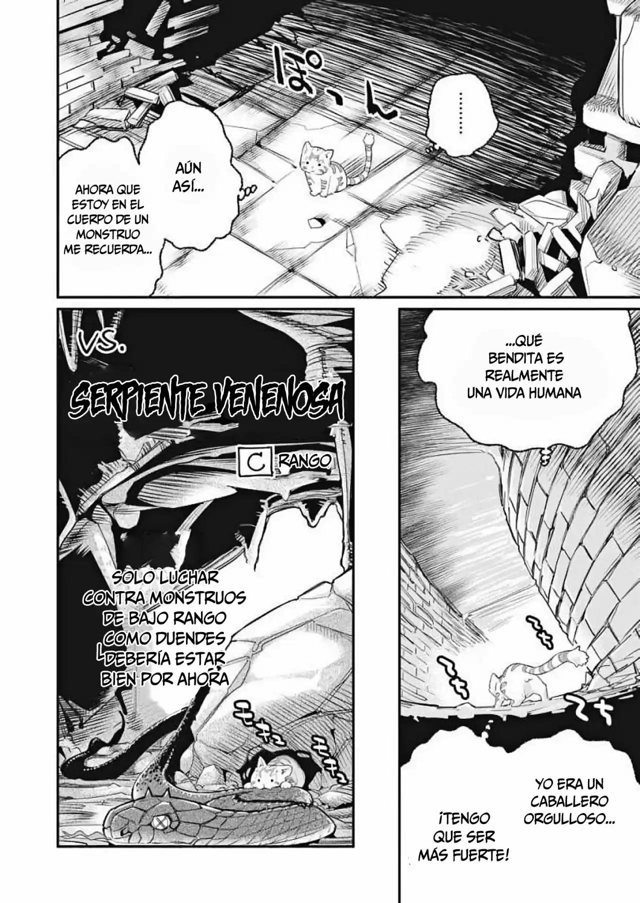 S-Rank Monster no Behemoth Dakedo, Neko to Machigawarete Erufu Musume no Kishi (Pet) Toshite Kurashitemasu (2018) - Capítulo 1 - Página 15 - LectorTMOo