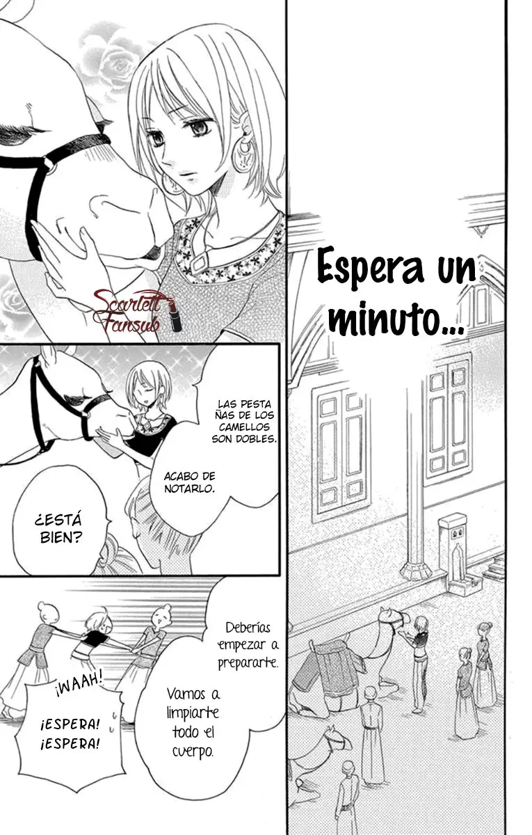Sabaku no Harem (2014) - Capítulo 30 - Página 17 - LectorTMOo