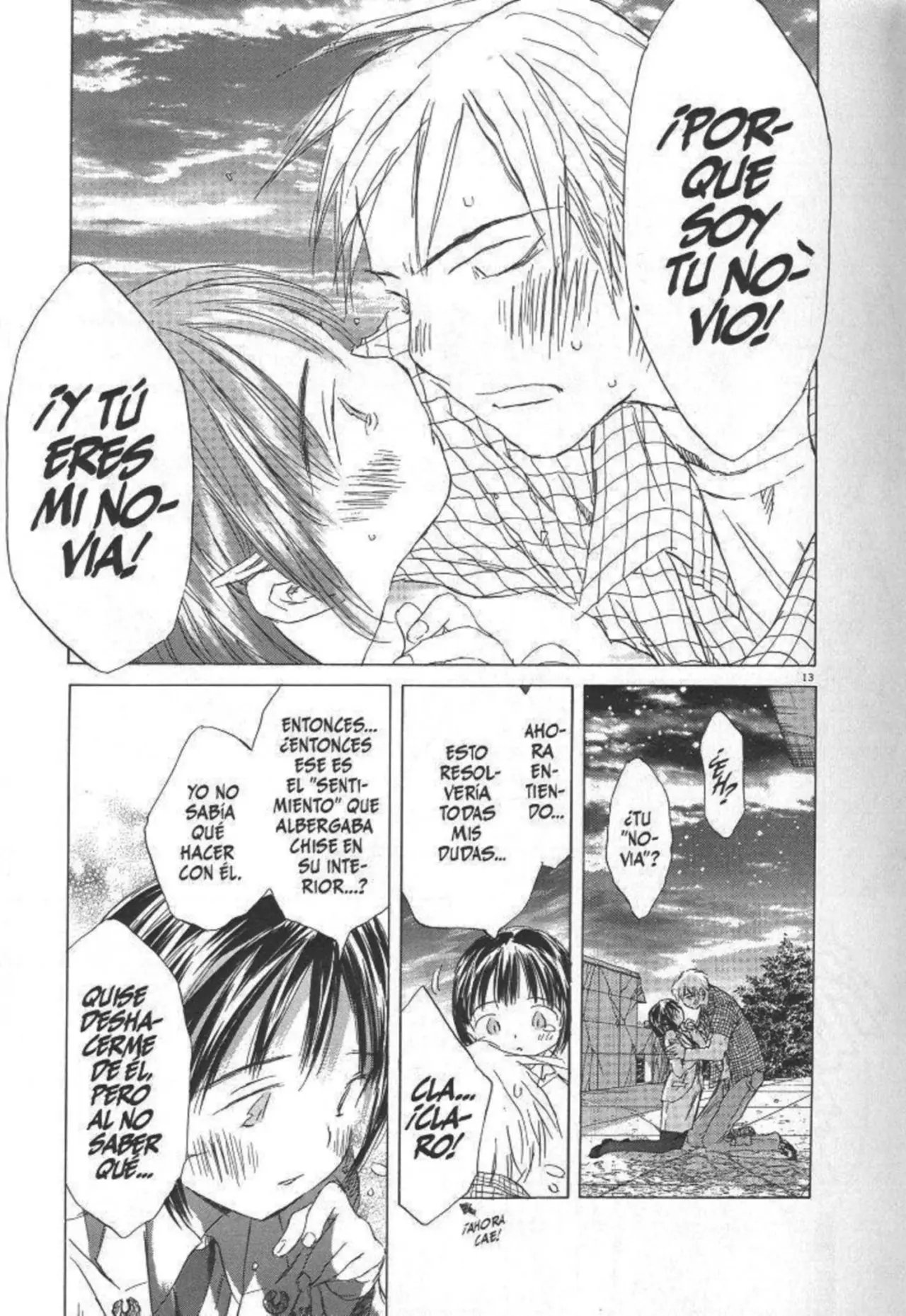 SaiKano (1999) - Capítulo 10.5 - Página 14 - LectorTMOo