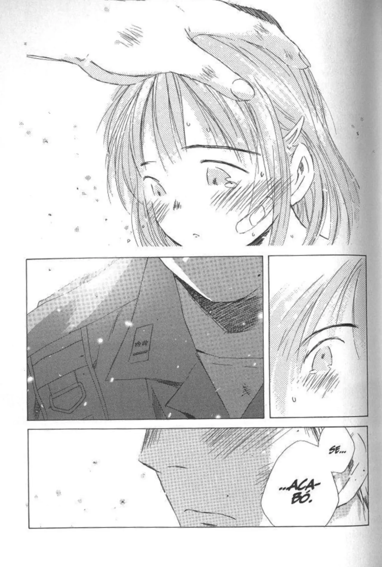 SaiKano (1999) - Capítulo 4.5 - Página 22 - LectorTMOo
