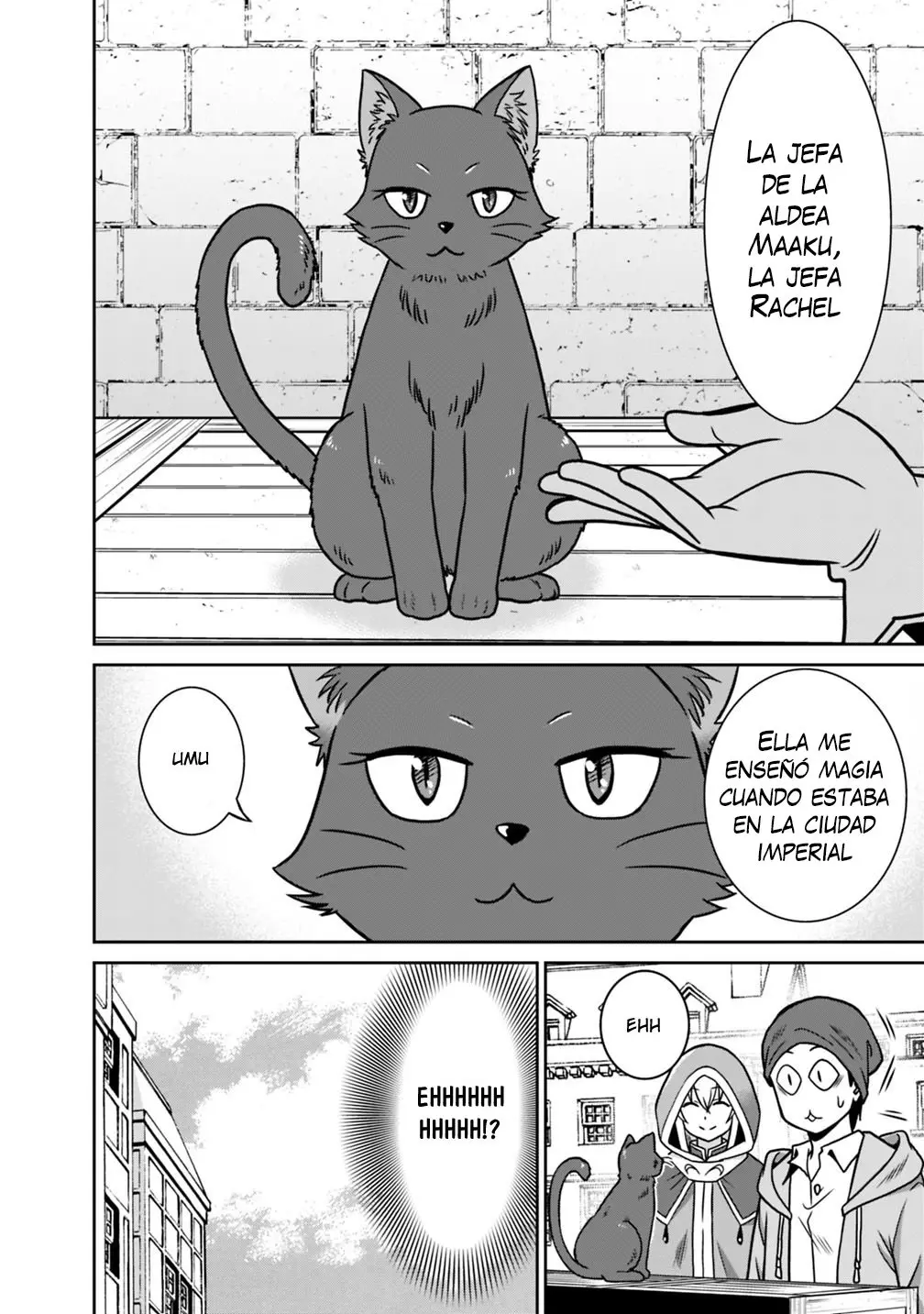 Saikyou no Shuzoku ga Ningen Datta Ken (2018) - Capítulo 36 - Página 5 - LectorTMOo