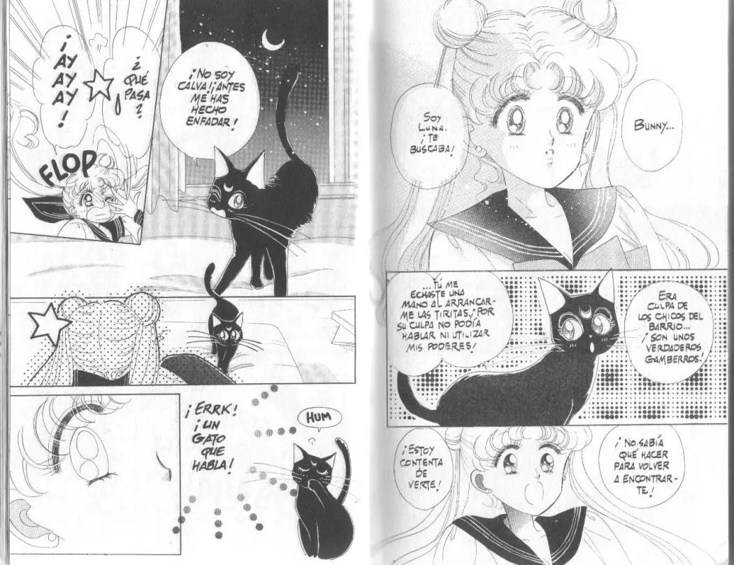 Sailor Moon (1991) - Capítulo 1 - Página 12 - LectorTMOo