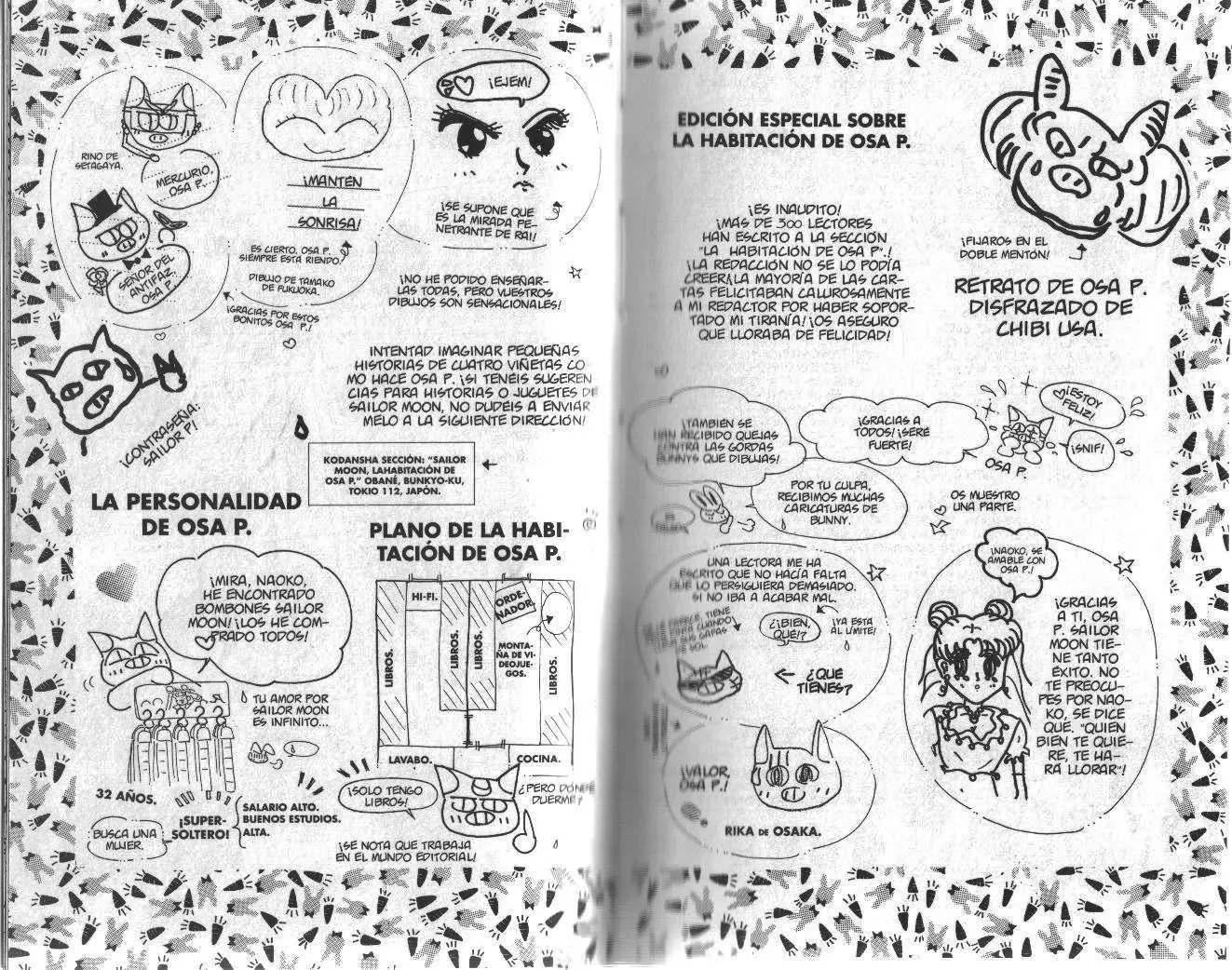 Sailor Moon (1991) - Capítulo 16.05 - Página 17 - LectorTMOo