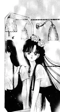Sailor Moon (1991) - Capítulo 33.05 - Página 29 - LectorTMOo