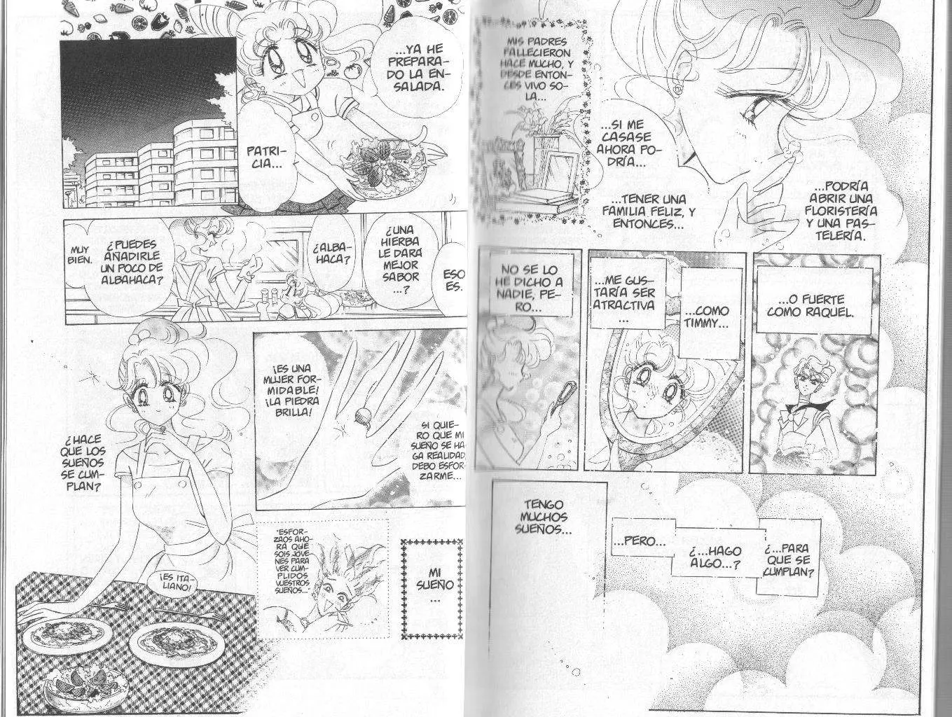 Sailor Moon (1991) - Capítulo 37 - Página 17 - LectorTMOo