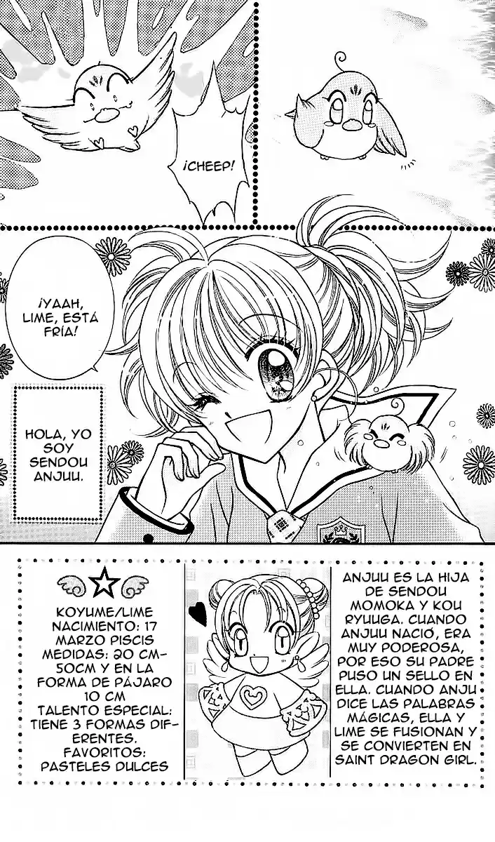 Saint Dragon Girl Miracle (2004) - Capítulo 7 - Página 3 - LectorTMOo